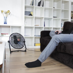 Ventilateur sur pied Cecotec EnergySilence 3000 Pro noir
