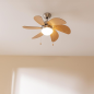 Ventilateur de plafond Cecotec Aero 350 acier 50W Ventilateur de plafond Cecotec Aero 350 acier 50W