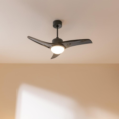 Ventilateur de plafond noir LED