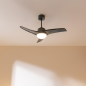 Ventilateur de plafond Cecotec EnergySilence 107 cm noir LED