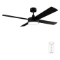 Ventilateur de plafond Cecotec noir 132 cm LED