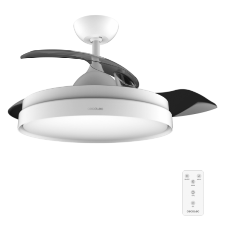 Ventilateur plafond noir blanc