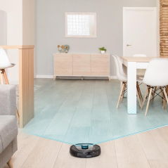 Robot aspirateur noir Cecotec