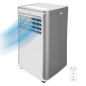 Climatiseur portable Cecotec ForceClima 9100 9000 BTU gris