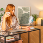 Ventilateur de bureau portable Cecotec EnergySilence 4000 gris