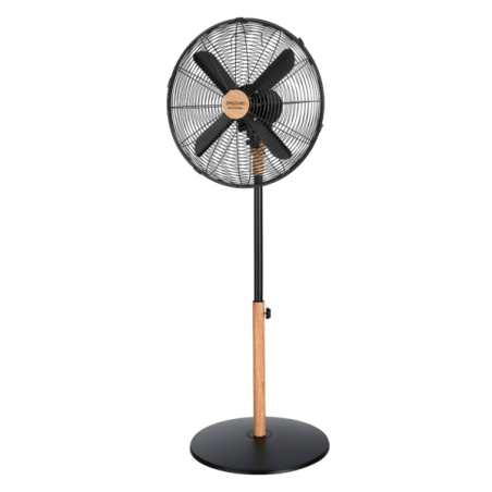 Ventilateur sur pied noir 40 cm