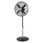 Ventilateur sur pied Cecotec EnergySilence 600 noir 40 cm