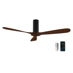 Ventilateur de plafond noir