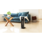 Chauffage céramique rotatif sur pied 2000W noir Cecotec