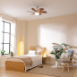 Ventilateur de plafond Cecotec 91 cm blanc Ventilateur de plafond Cecotec 91 cm blanc