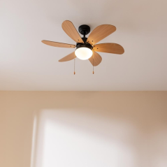 Ventilateur de plafond Cecotec 91 cm noir