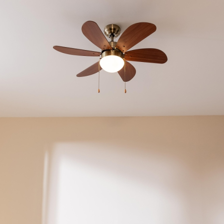 Ventilateur de plafond Cecotec 91 cm noir 50 W