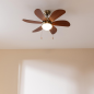 Ventilateur de plafond Cecotec 91 cm noir 50 W Ventilateur de plafond Cecotec 91 cm noir 50 W