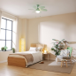 Ventilateur de plafond Cecotec 91 cm menthe Ventilateur de plafond Cecotec 91 cm menthe