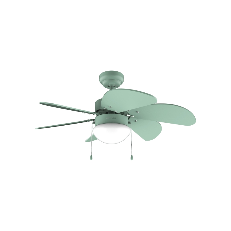Ventilateur plafond Cecotec 91 cm vert avec éclairage Ventilateur plafond Cecotec 91 cm vert avec éclairage
