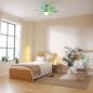 Ventilateur plafond Cecotec 91 cm vert avec éclairage Ventilateur plafond Cecotec 91 cm vert avec éclairage
