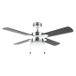 Ventilateur de plafond Cecotec 107 cm noir argent