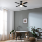 Ventilateur de plafond Cecotec EnergySilence Aero 450 noir 50W