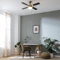 Ventilateur de plafond Cecotec 107 cm doré/noir 50 W Ventilateur de plafond Cecotec 107 cm doré/noir 50 W