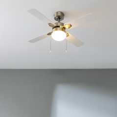 Ventilateur de plafond Cecotec 107 cm doré 50 W