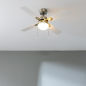Ventilateur de plafond Cecotec 107 cm doré 50 W Ventilateur de plafond Cecotec 107 cm doré 50 W