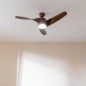 Ventilateur de plafond 132 cm Cecotec bois sombre Ventilateur de plafond 132 cm Cecotec bois sombre