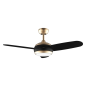 Ventilateur de plafond Cecotec 107 cm doré/noir