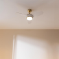 Ventilateur de plafond Cecotec EnergySilence 4265 blanc 107 cm