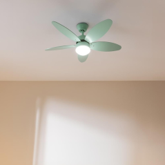 ventilateur de plafond menthe Cecotec 107 cm