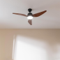 Ventilateur de plafond Cecotec EnergySilence Aero 5250 noir 122 cm