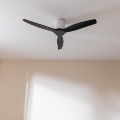 ventilateur de plafond Cecotec noir et blanc