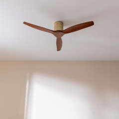 ventilateur plafond gris Cecotec connecté
