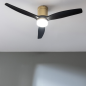 Ventilateur plafond connecté Cecotec EnergySilence noir LED 40W Ventilateur plafond connecté Cecotec EnergySilence noir LED 40W