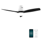 Ventilateur plafond connecté Cecotec EnergySilence 5600 noir blanc