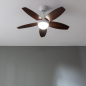 Ventilateur de plafond Cecotec EnergySilence 107 cm, blanc/bois foncé