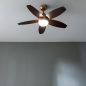 Ventilateur de plafond Cecotec EnergySilence 4200 or/noir 107 cm Ventilateur de plafond Cecotec EnergySilence 4200 or/noir 107 cm