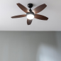Ventilateur de plafond Cecotec 107 cm noir Ventilateur de plafond Cecotec 107 cm noir