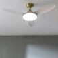 Ventilateur de plafond Cecotec 4800 Light Or 122 cm avec éclairage Ventilateur de plafond Cecotec 4800 Light Or 122 cm avec éclairage
