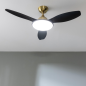 Ventilateur de plafond Cecotec 4800 Light or/noir LED 122 cm Ventilateur de plafond Cecotec 4800 Light or/noir LED 122 cm