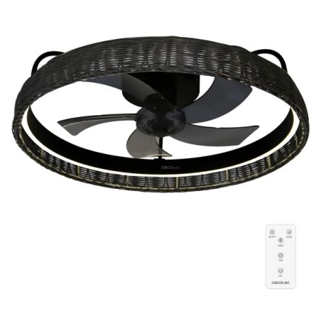ventilateur plafond noir cinq pales