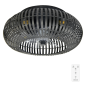 Ventilateur de plafond Cecotec EnergySilence bois foncé noir 20 W