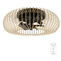 Ventilateur de plafond Cecotec EnergySilence 600 noir 20W Ventilateur de plafond Cecotec EnergySilence 600 noir 20W