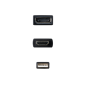 Nanocable Convertisseur HDMI vers DisplayPort 20 cm Noir Nanocable Convertisseur HDMI vers DisplayPort 20 cm Noir