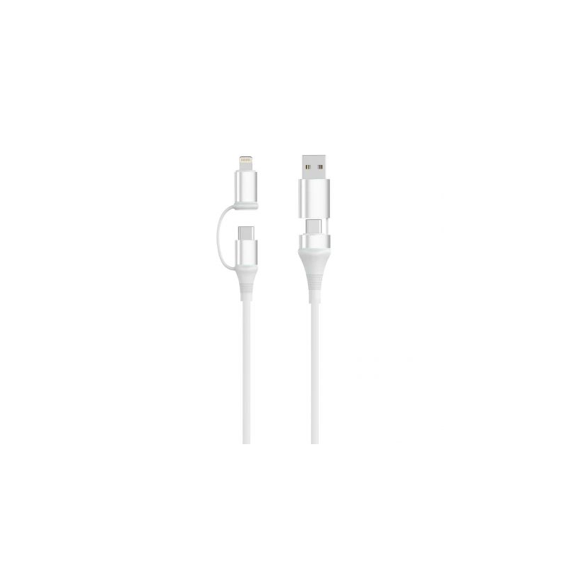 Câble USB-C 4 en 1 Ewent EC1076 2 m Blanc 60W