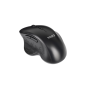 Souris sans fil ergonomique Tooq TQMWG-1105-B noire 1600 dpi Souris sans fil ergonomique Tooq TQMWG-1105-B noire 1600 dpi