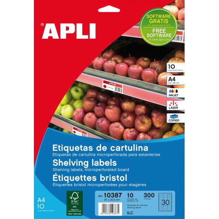 Apli Étiquettes Blanches 67.0 x 25.4mm 10 Feuilles