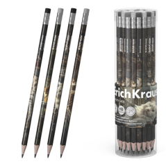 crayons graphite assortis
