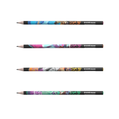 Crayon graphite HB triangulaire ErichKrause, assorti