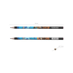 crayons graphite triangulaires assortis