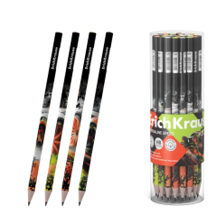Crayons graphite assortis HB